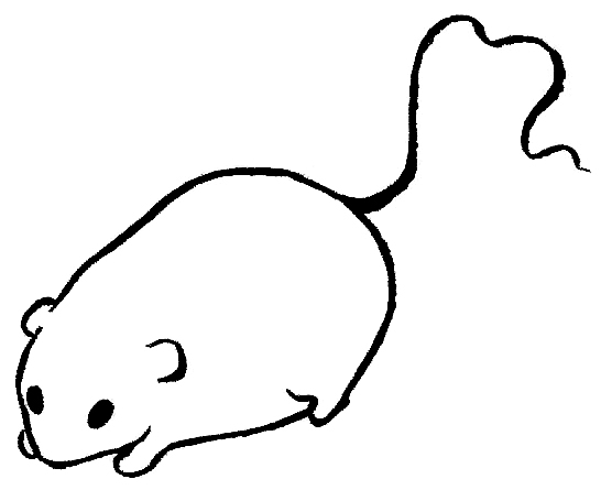 squeak!